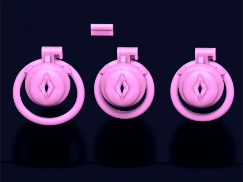 Chastity Cage vagina 3D Print Model
