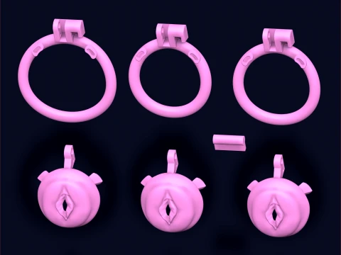 Chastity Cage vagina 3D Print Model