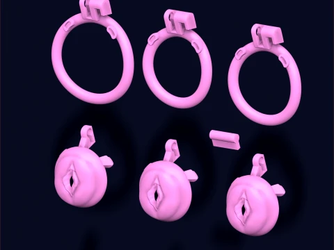 Chastity Cage vagina 3D Print Model