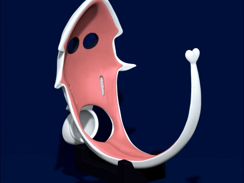 Chastity Cage Blooper 3D Print Model
