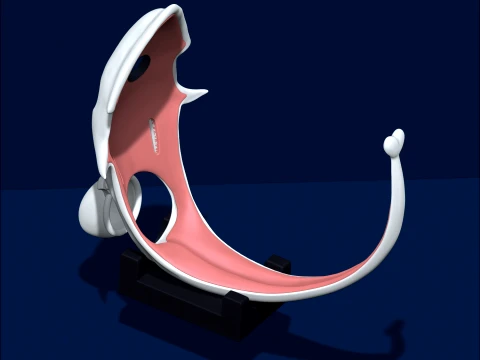 Chastity Cage Blooper 3D Print Model