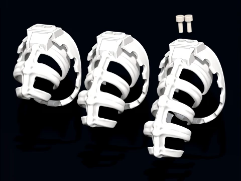 Chastity Cage SKELETON 3D Print Model
