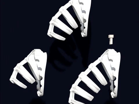 Chastity Cage SKELETON 3D Print Model