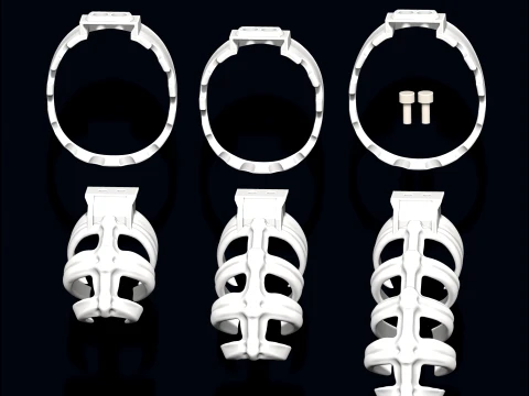 Chastity Cage SKELETON 3D Print Model