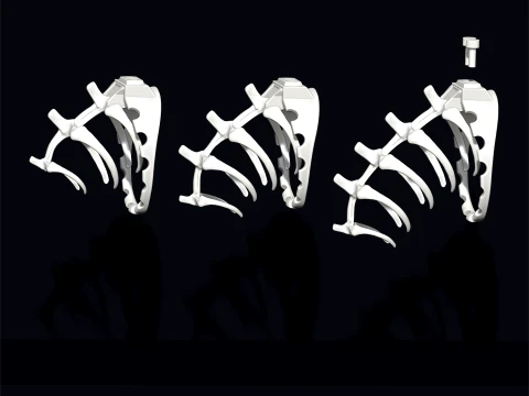 Chastity Cage SKELETON Dinosaur 3D Print Model