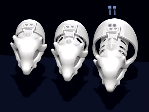 Chastity Cage Cubone 3D Print Model