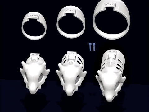Chastity Cage Cubone 3D Print Model