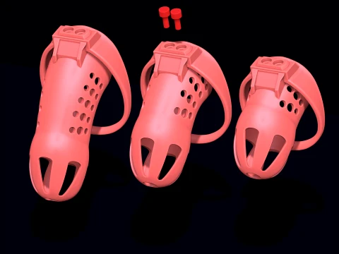 Chastity Cage 3D Print Model