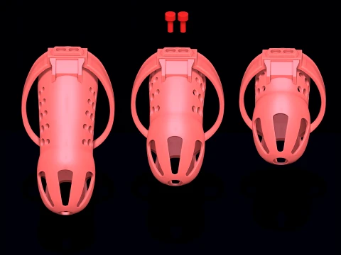 Chastity Cage 3D Print Model