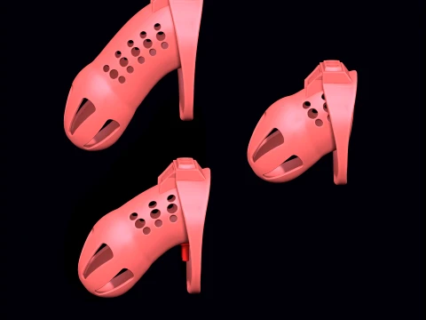 Chastity Cage 3D Print Model