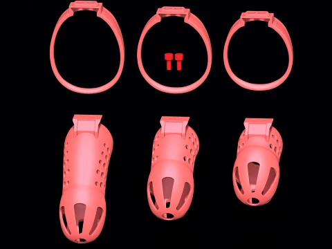 Chastity Cage 3D Print Model