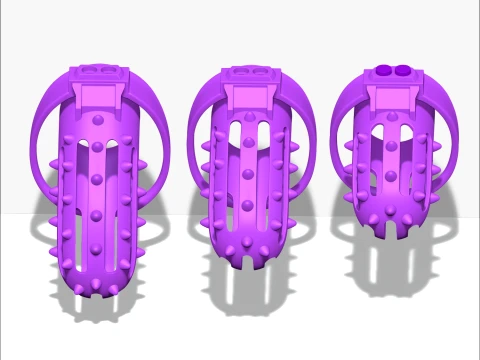 Chastity Cage 3D Print Model