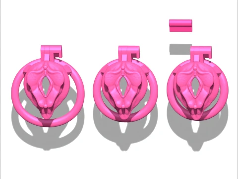 Chastity Cage vagina 3D Print Model