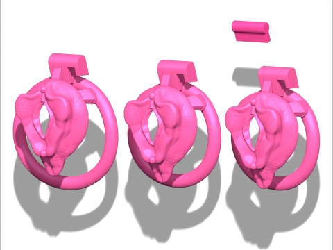 Chastity Cage vagina 3D Print Model