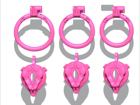 Chastity Cage vagina 3D Print Model