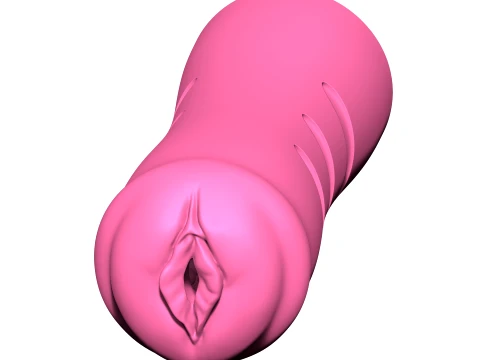 Masturbators with molds 3D Print Model