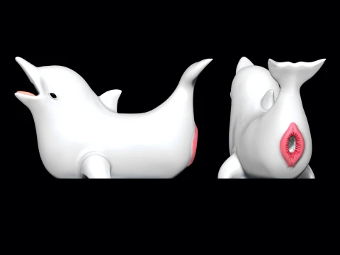 Masturbators Dolphin with molds 3D Print Model