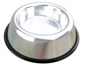 stainless steel dog bowl Modelo 3D