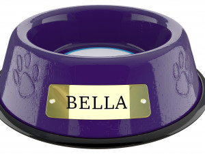 large bowl electric purple Modelo 3D