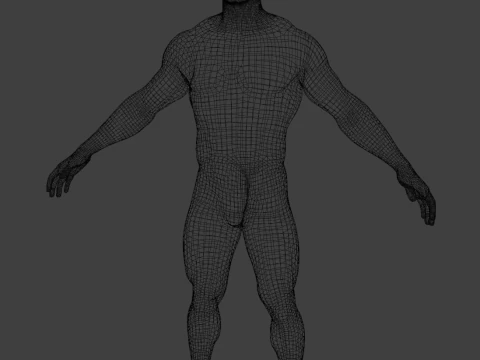 Realistic Muscular Guy Fully Rigged Low-poly 3D Model