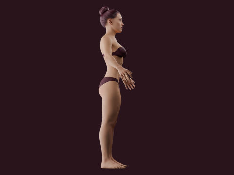 Realistic Bikini Girl Fully Rigged 3D 模型