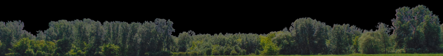 backdrop treelines with alpha channel 免费 3D 模型 in 树 3DExport