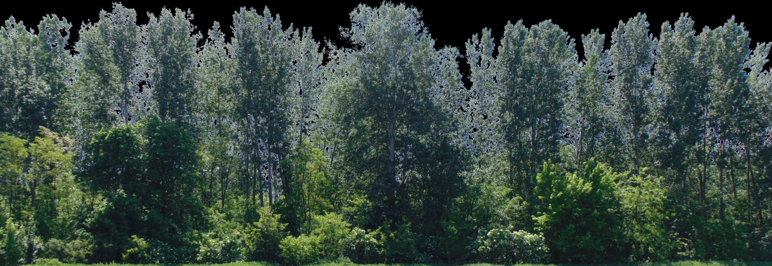 backdrop treelines with alpha channel Free 3D Models in Tree 3DExport