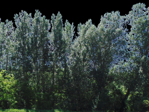 backdrop treelines with alpha channel 3D-Modell