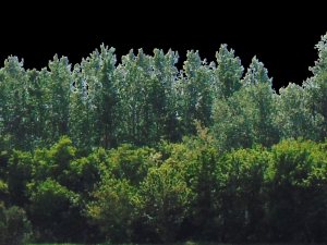 backdrop treelines with alpha channel 3D-Modell