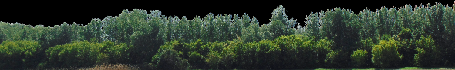 backdrop treelines with alpha channel Free 3D Models in Tree 3DExport