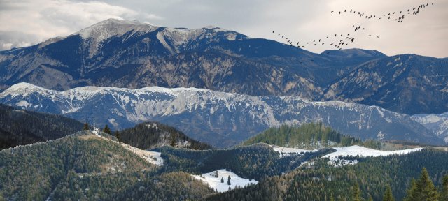 backdrop mountains with transparent background gift 3D 모델 .c4d .max .obj .3ds .fbx .stl .blend