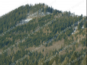 backdrop mountains with transparent background gift 3D 모델