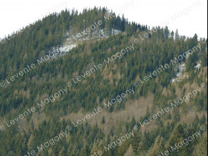 backdrop mountains with transparent background gift 3D Model
