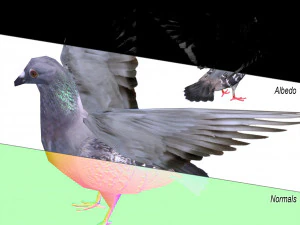 g&uuml;vercin 3D Model