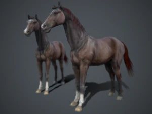 horse 3D Model