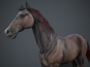 horse 3D Model