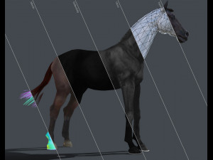 horse 3Dモデル