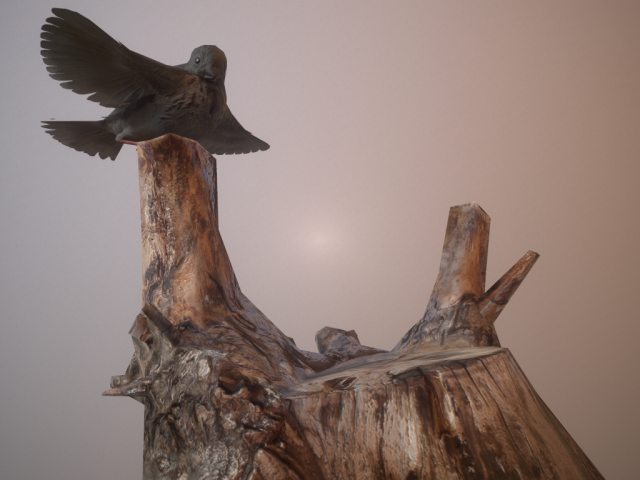 Sparrow lp 3D Model .c4d .max .obj .3ds .fbx .stl .blend 