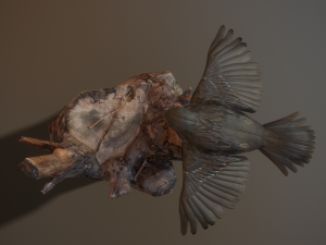 Sparrow lp 3D Model