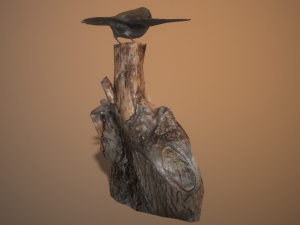 Sparrow lp 3D Model