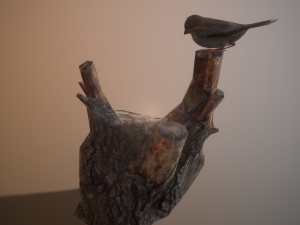 Sparrow lp 3D Model