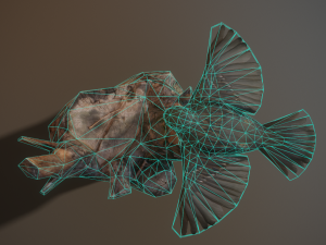 Sparrow lp 3D Model