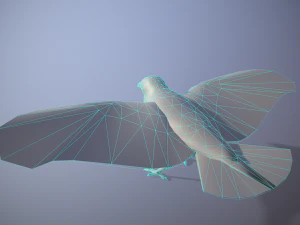 Animazione del corvo Modello 3D