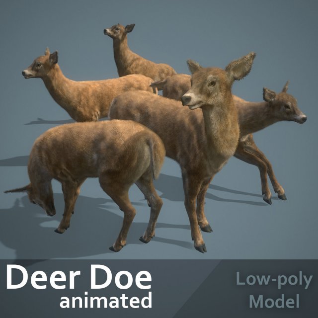 deer doe animated pbr low-poly 3D-Modell .c4d .max .obj .3ds .fbx .stl .blend 
