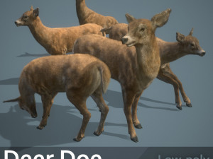 deer doe animated pbr low-poly 3Dモデル