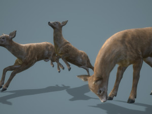 deer doe animated pbr low-poly 3D-Modell