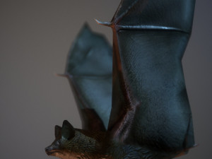 bat animation pbr low-poly Modèle 3D