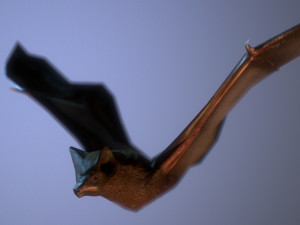 bat animation pbr low-poly Modèle 3D