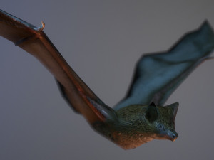 bat animation pbr low-poly Modèle 3D