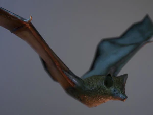 bat animation pbr low-poly 3D Model